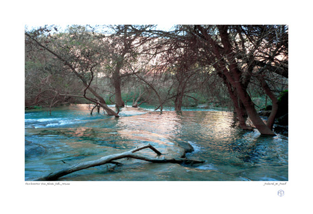 View downriver from Navaho Falls